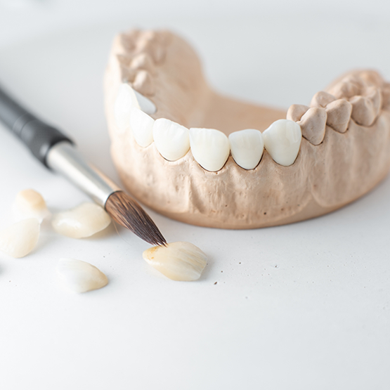 Model of dentures next to a paintbrush